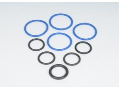 Chevy Cavalier Fuel Injector O-Rings - 19178983