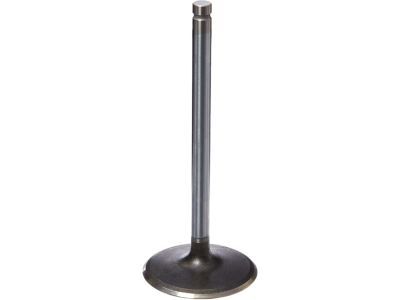 GMC Intake Valve - 12563063