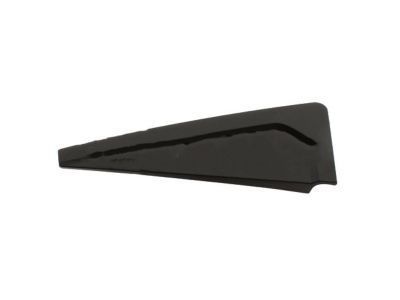 Pontiac Door Moldings - 96585538