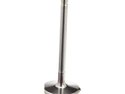Chevy 12555331 Intake Valve