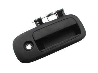 Chevy Express 1500 Exterior Door Handle - 84084710