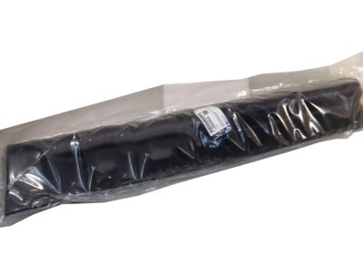 Chevy Equinox Door Moldings - 25824826