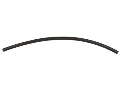 Chevy Impala Weather Strip - 10250195