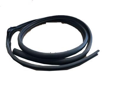 Chevy Lumina Door Seal - 10401530
