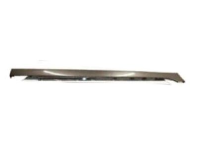 Chevy 92162072 Rocker Molding