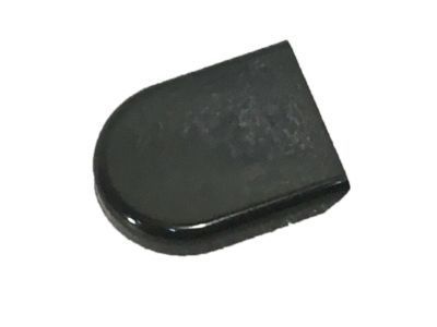 GM 25788745 Wiper Arm Cap 25788745 GM Wiper Arm Cap Product Photo 1 of 3
