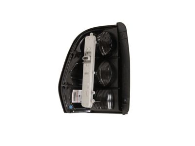 Chevy Trailblazer Back Up Light - 15131579