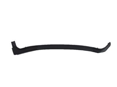 Chevy Equinox Weather Strip - 20998459
