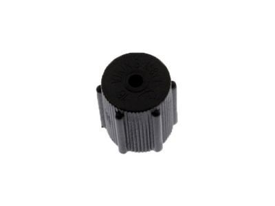 Buick 52471377 Fill Valve Cap