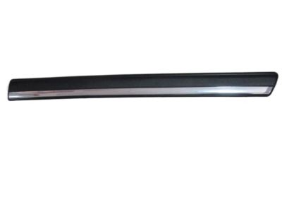 Chevy Silverado 2500 Door Moldings - 15199305
