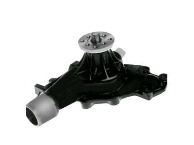 GMC Water Pump - 19168611