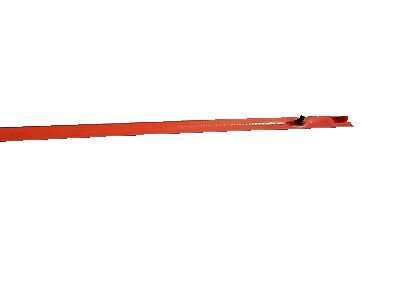 Pontiac Door Moldings - 10166786