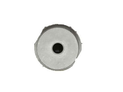 Saturn 20914914 Differential Assembly Bushing