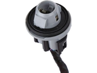 Buick LeSabre Light Socket - 15301646