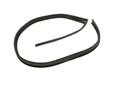 Chevy Silverado 3500 HD Door Seal - 20816087
