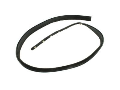 Chevy Silverado 3500 HD Door Seal - 20816087