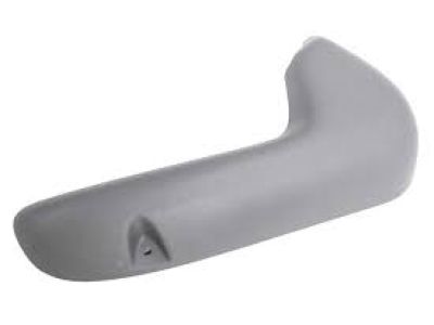 Chevy 19126810 Outer Finish Panel