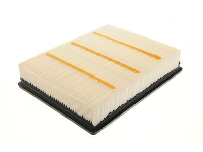 GMC Air Filter - 22845992