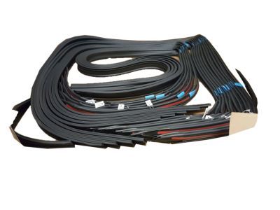GMC Door Seal - 20789464