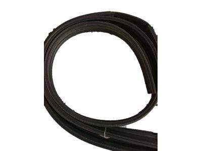 GMC Door Seal - 20789464