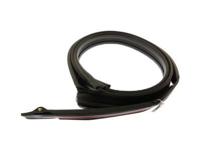 GMC Door Seal - 20789464
