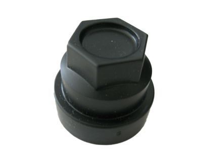 Chevy 10029867 CAP, LOCK PLASTIC (1984-86)(PART OF 8)