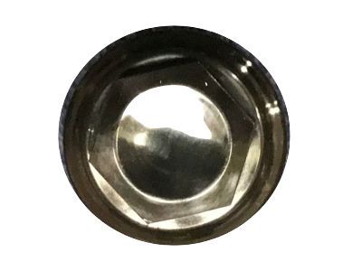 GMC Wheel Cover - 9598895