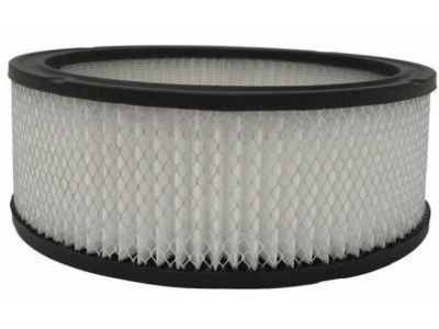 Pontiac Air Filter - 6419892