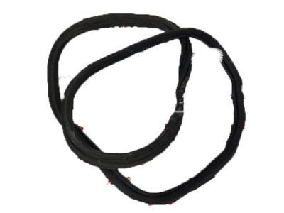 Chevy 84160282 Weatherstrip On Body