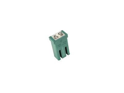 GM 84490338 Fuse, Main Wiring Junction And Fuse Block, Green 84490338 GM Fuse, Main Wiring Junction And Fuse Block, Green Product Photo 1 of 2