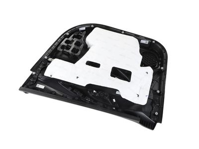 42800742 GM Trim, Front Door Trim Product Photo 2 of 3