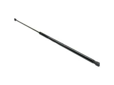 10446862 GM Lift Cylinder Product Photo 2 of 4
