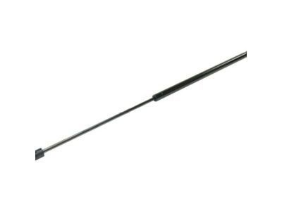 GM 10446862 Lift Cylinder 10446862 GM Lift Cylinder Product Photo 1 of 4