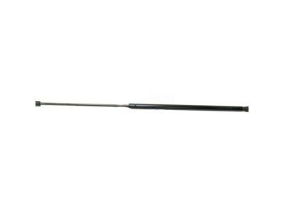 10446862 GM Lift Cylinder Product Photo 3 of 4