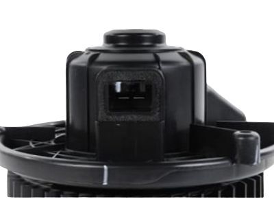 Pontiac Blower Motor - 22896430