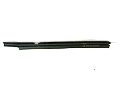Pontiac Door Moldings - 10326353