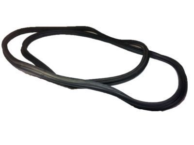 Pontiac Weather Strip - 22637654