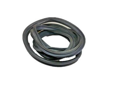 Pontiac Weather Strip - 22637654