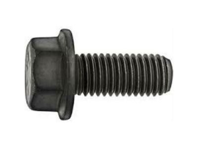 Chevy 11515756 Door Check Bolt