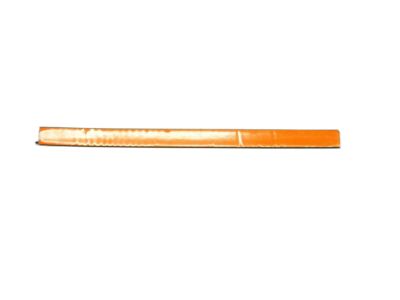 Chevy 20509364 Body Side Molding