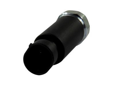 Pontiac Oil Pressure Switch - 19244505
