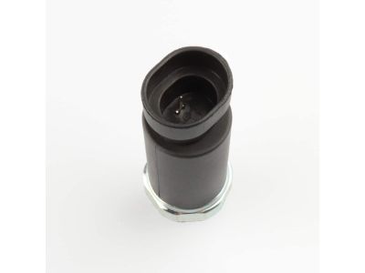 Pontiac Oil Pressure Switch - 19244505