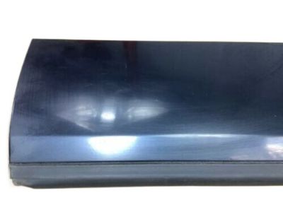 Buick Regal Door Moldings - 10265385