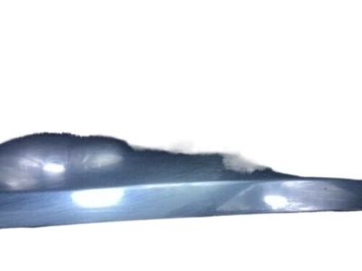 Buick Regal Door Moldings - 10265385