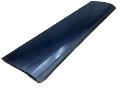 Buick Regal Door Moldings - 10265385