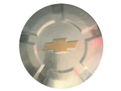 Chevy Trailblazer Wheel Cover - 9596191