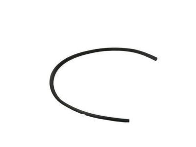 Chevy 88897269 Reveal Molding
