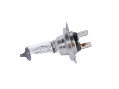 Chevy Trax Headlight Bulb - 13503384