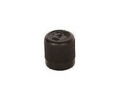 GMC 25532662 CAP,FUEL PRESSURE SERVICE VALVE(CAP FOR PRESSURE TEST SCHRADER VALVE)(*01,02,03)(3.163)