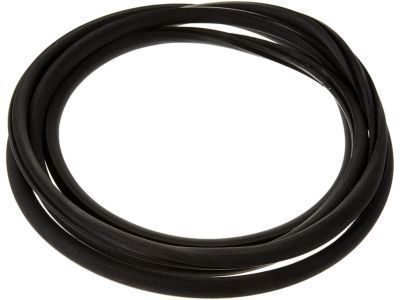 Pontiac Weather Strip - 15893292